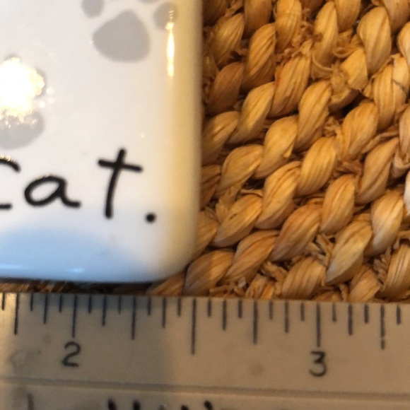 cat lovers refrigerator magnet AND pre read book - Picture 3 of 9